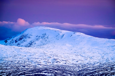 Winter Peaks at Dusk III - Fuar Bheinn (Morvern) from Druim Glas, Ardgour