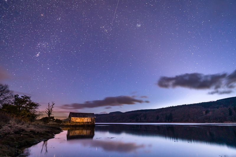 Emerging Stars - Loch Aline, Ardtornish Estate, Morvern